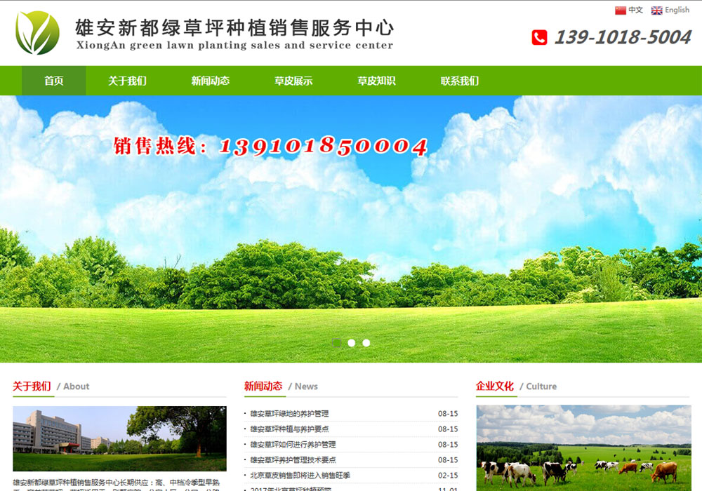 免费wordpress主题